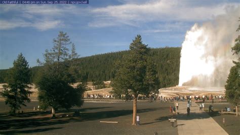 yellowstone park webcams live streaming